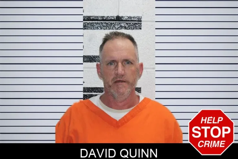 David Quinn