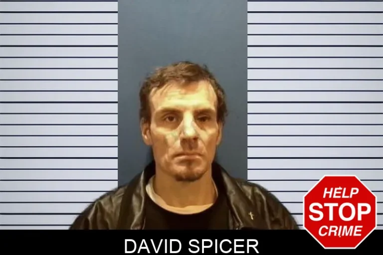 David Spicer