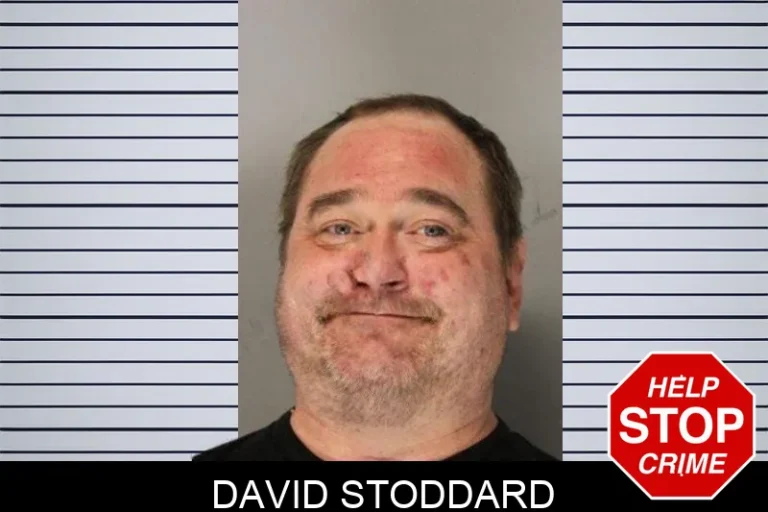 David Stoddard