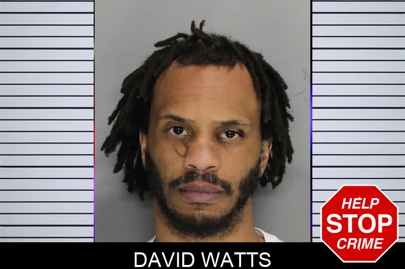 David Watts mugshot
