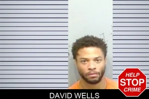David Wells mugshot