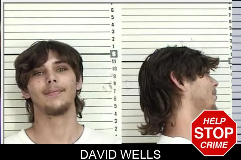 David Wells mugshot – Camden County , Georgia David Wells