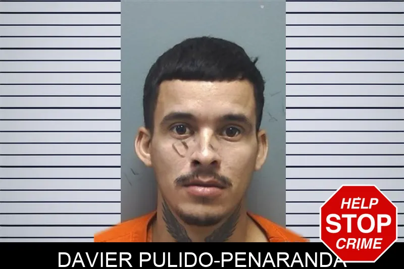Davier Pulido-Penaranda