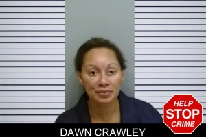 Dawn Crawley mugshot