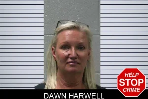 Dawn Harwell mugshot