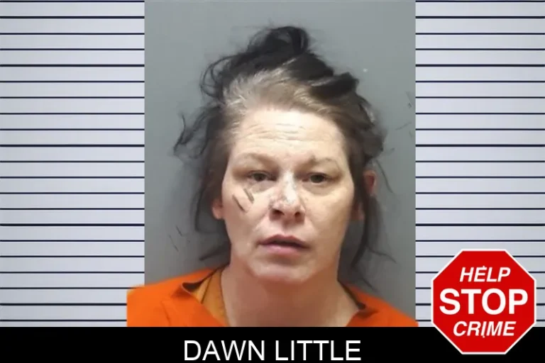 Dawn Little