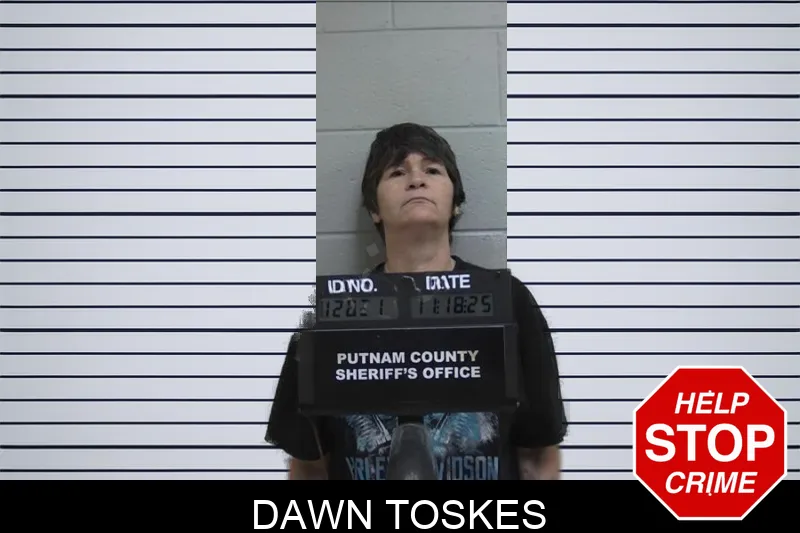 Dawn Toskes Mugshots