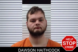 Dawson Haithcock mugshot