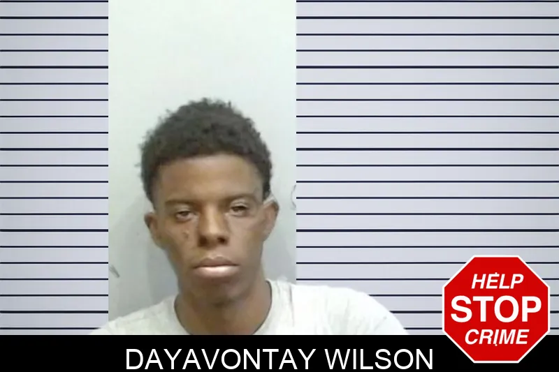 Dayavontay Wilson mugshot – Fulton County , Georgia Dayavontay Wilson mugshot