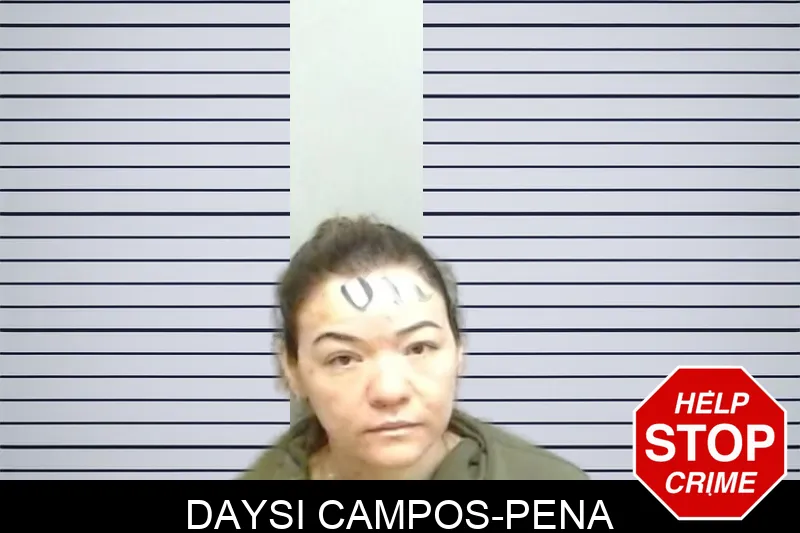 Daysi Campos-Pena mugshot – Fulton County , Georgia Daysi Campos-Pena mugshot