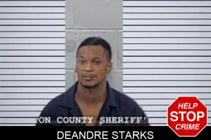 Deandre Starks mugshot