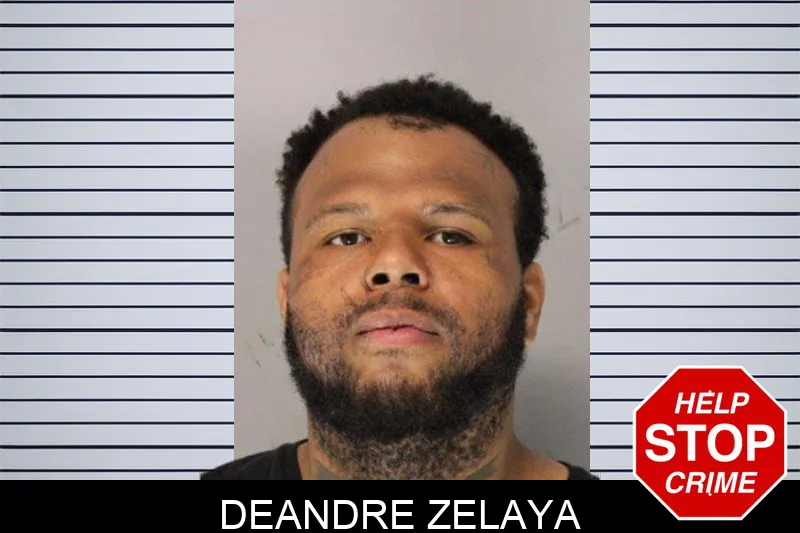 Deandre Zelaya Mugshots