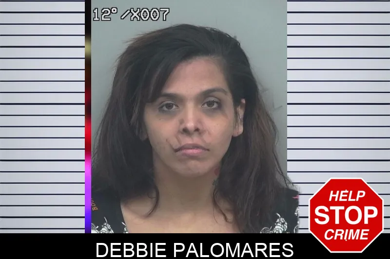 Debbie Palomares mugshot – Gwinnett County , Georgia Debbie Palomares mugshot