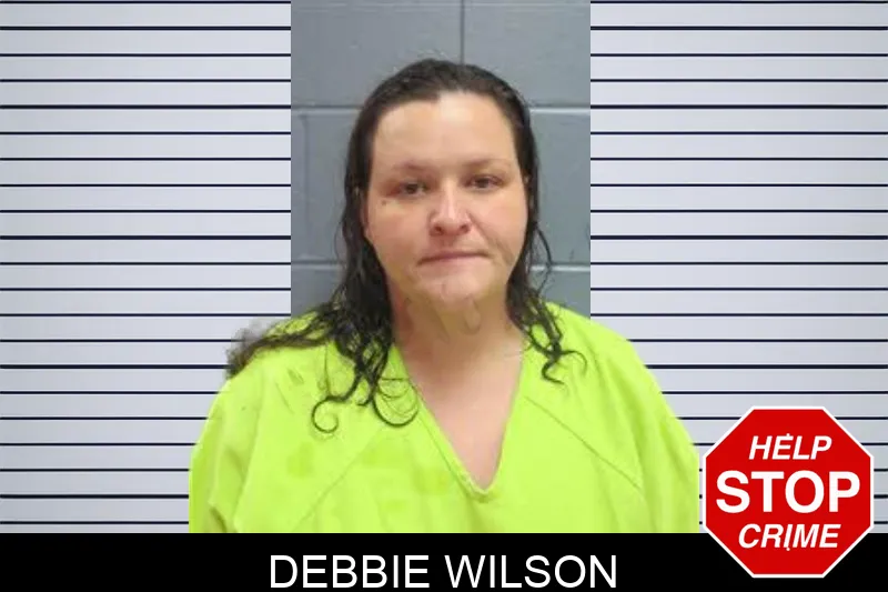 Debbie Wilson Mugshots
