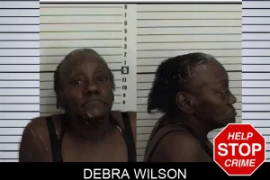Debra Wilson mugshot