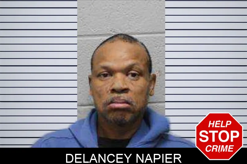 Delancey Napier