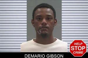 Demario Gibson mugshot