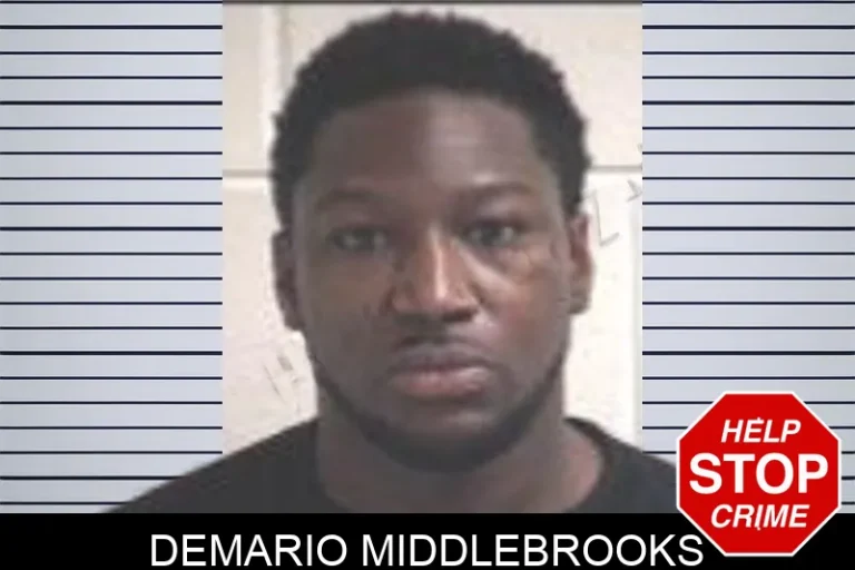 Demario Middlebrooks