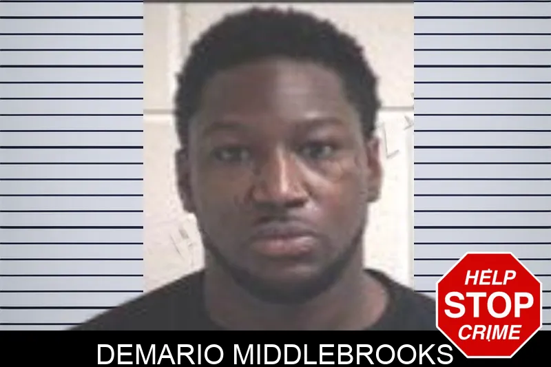 Demario Middlebrooks
