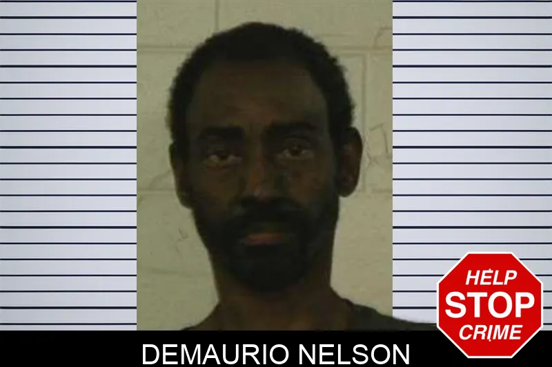 Demaurio Nelson Mugshots