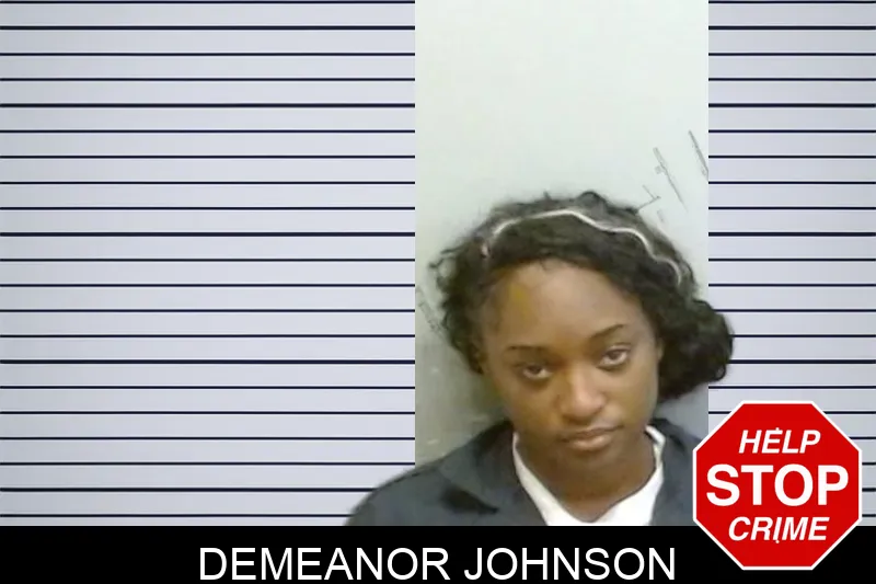 Demeanor Johnson mugshot – Fulton County , Georgia Demeanor Johnson mugshot