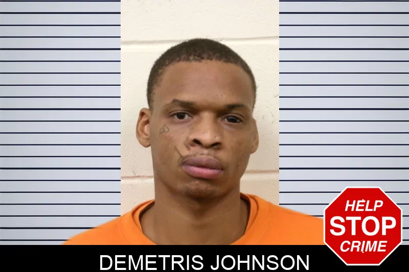 Demetris Johnson Mugshots