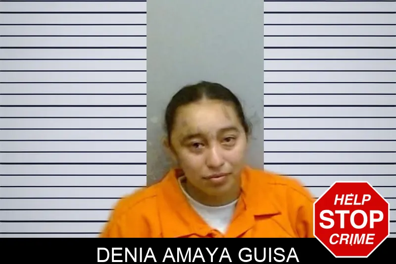 Denia Amaya Guisa Mugshots