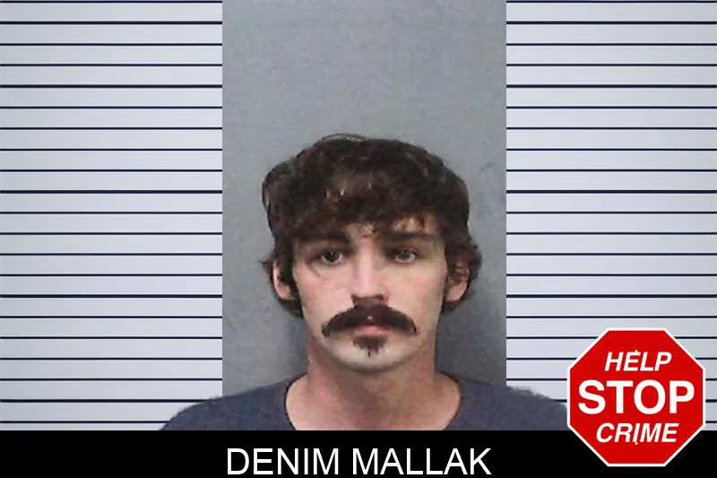 Denim Mallak