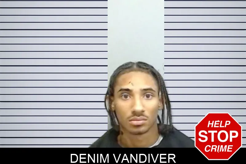 Denim Vandiver mugshot