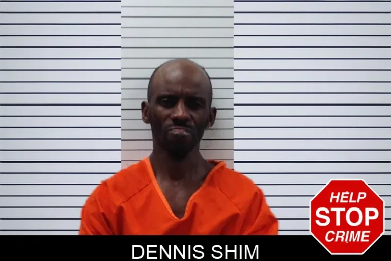 Dennis Shim mugshot – Pickens County , Georgia Dennis Shim