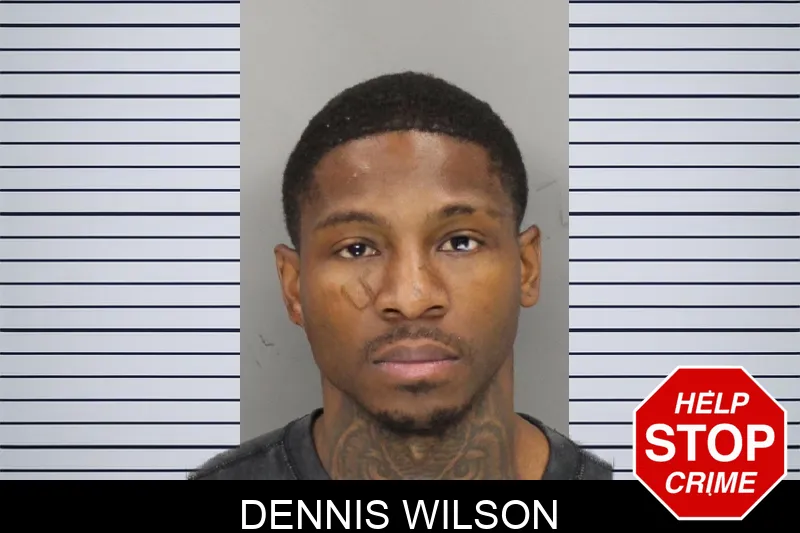 Dennis Wilson Mugshots