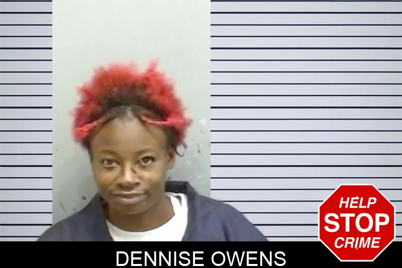 Dennise Owens mugshot