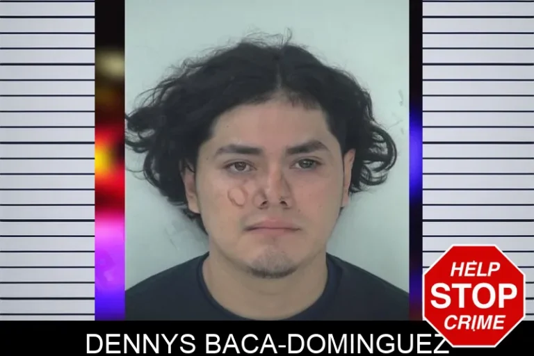 Dennys Baca-Dominguez