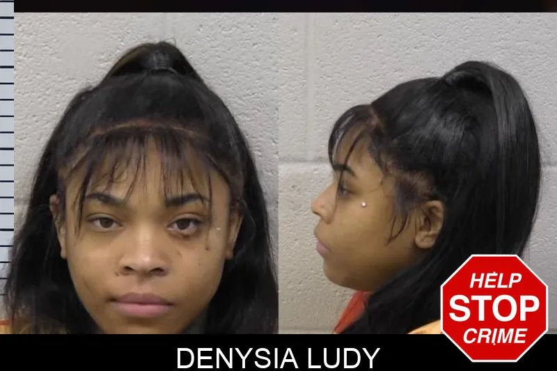 Denysia Ludy mugshot – Paulding County , Georgia Denysia Ludy mugshot