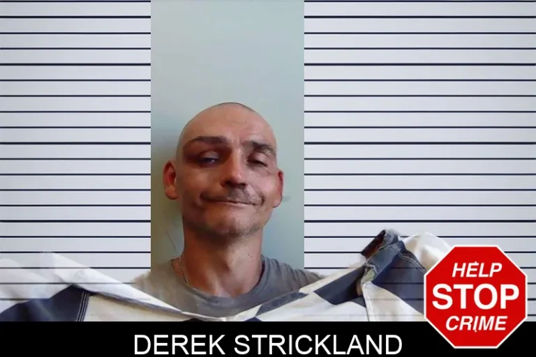 Derek Strickland