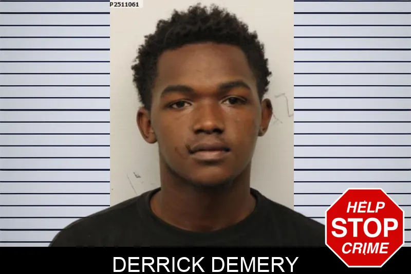 Derrick Demery mugshot – Chatham County , Georgia Derrick Demery mugshot