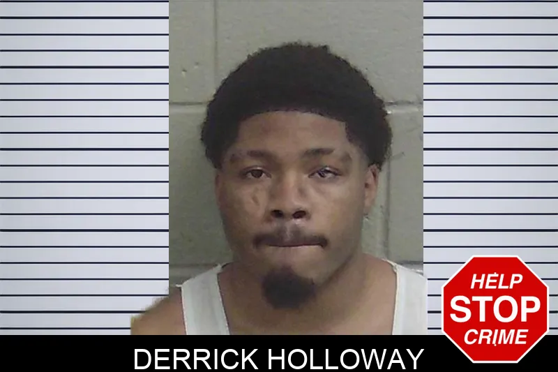 Derrick Holloway mugshot