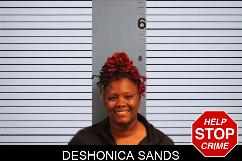 Deshonica Sands Mugshots