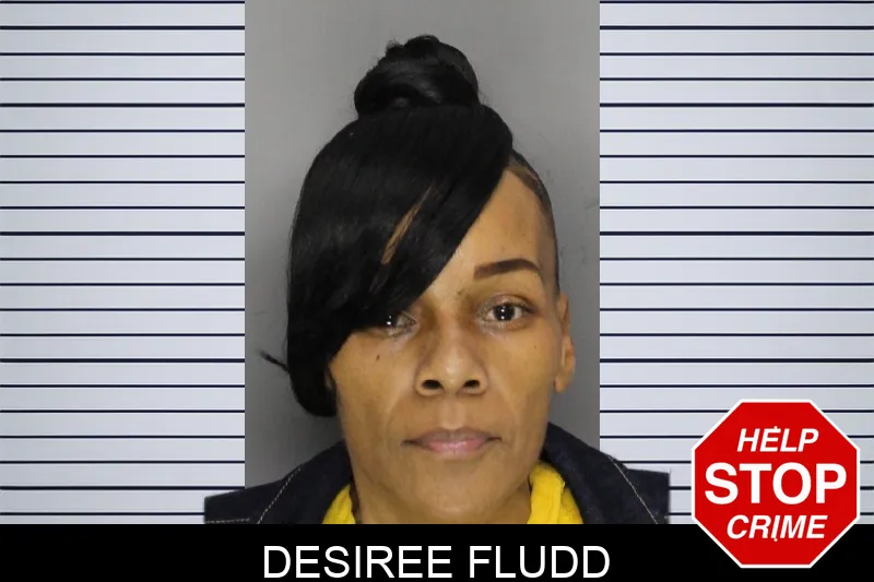 Desiree Fludd mugshot – Cobb County , Georgia Desiree Fludd mugshot