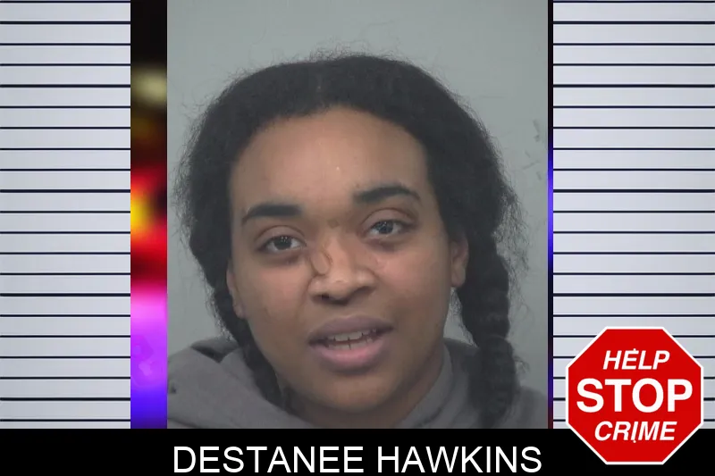Destanee Hawkins mugshot