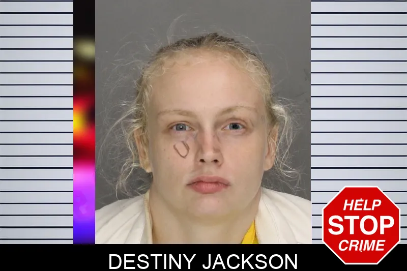 Destiny Jackson mugshot – Cobb County , Georgia Destiny Jackson mugshot