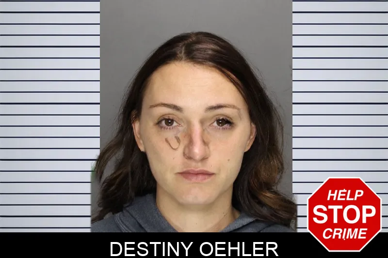 Destiny Oehler mugshot – Cobb County , Georgia Destiny Oehler mugshot