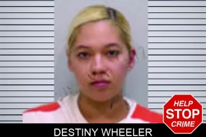 Destiny Wheeler mugshot