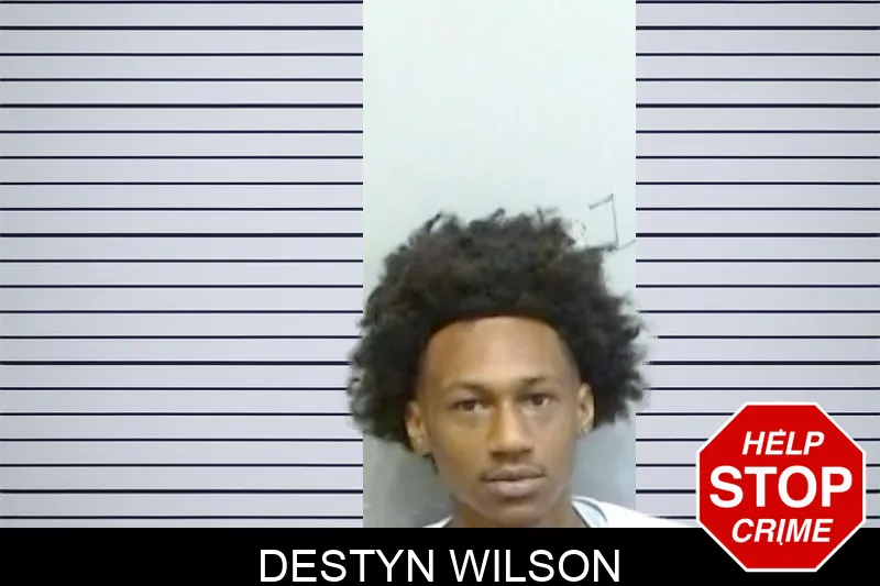 Destyn Wilson