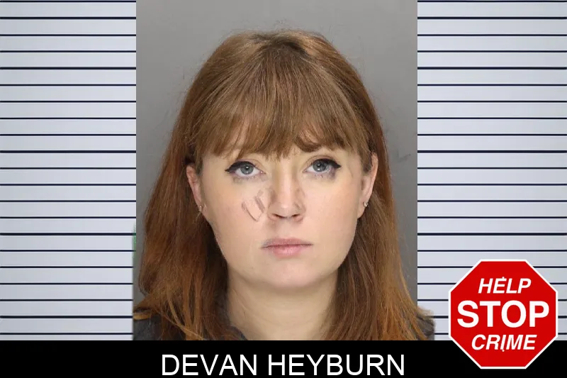 Devan Heyburn mugshot