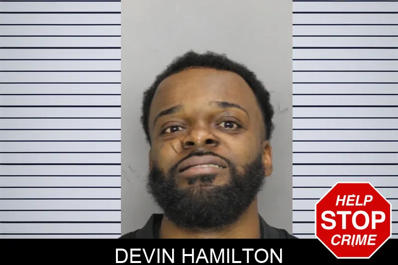 Devin Hamilton mugshot