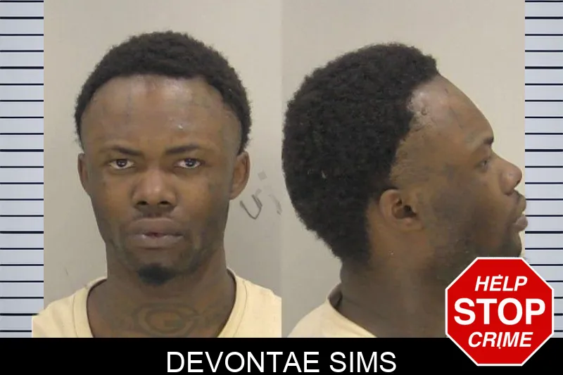 Devontae Sims Mugshots
