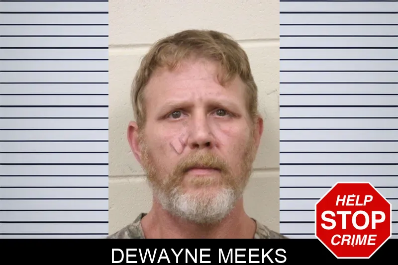 Dewayne Meeks Mugshots