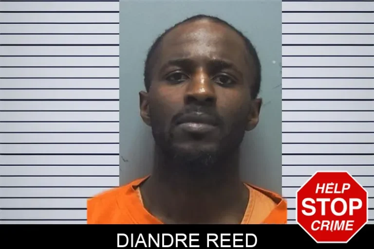 Diandre Reed mugshot – Cherokee County , Georgia Diandre Reed