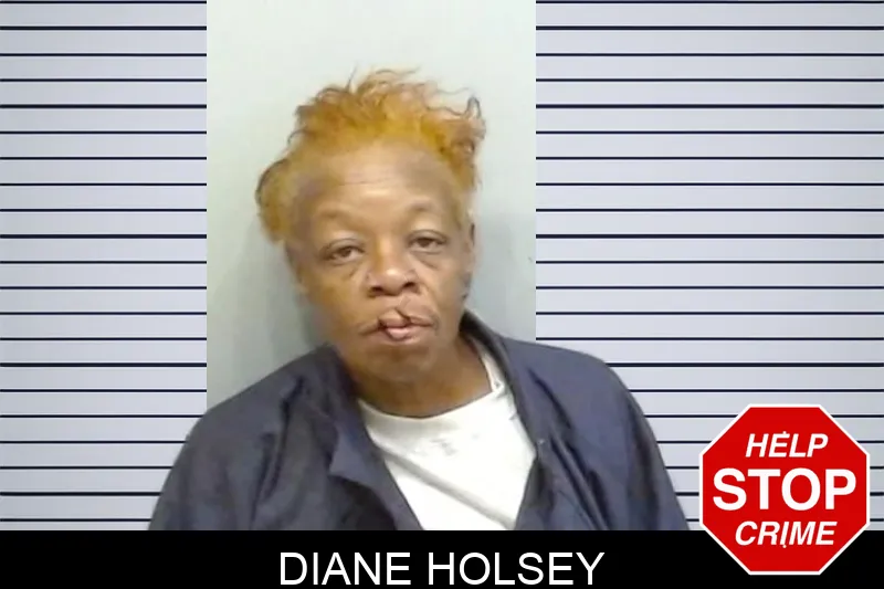 Diane Holsey mugshot